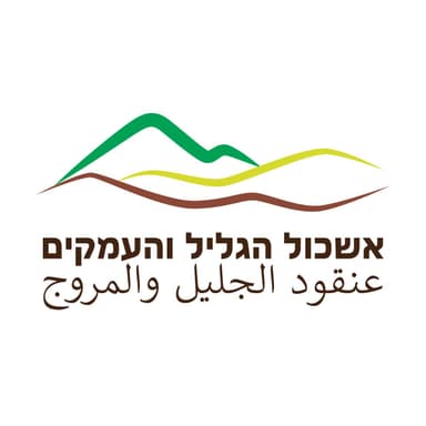 Galilee & Valleys Regional Cluster